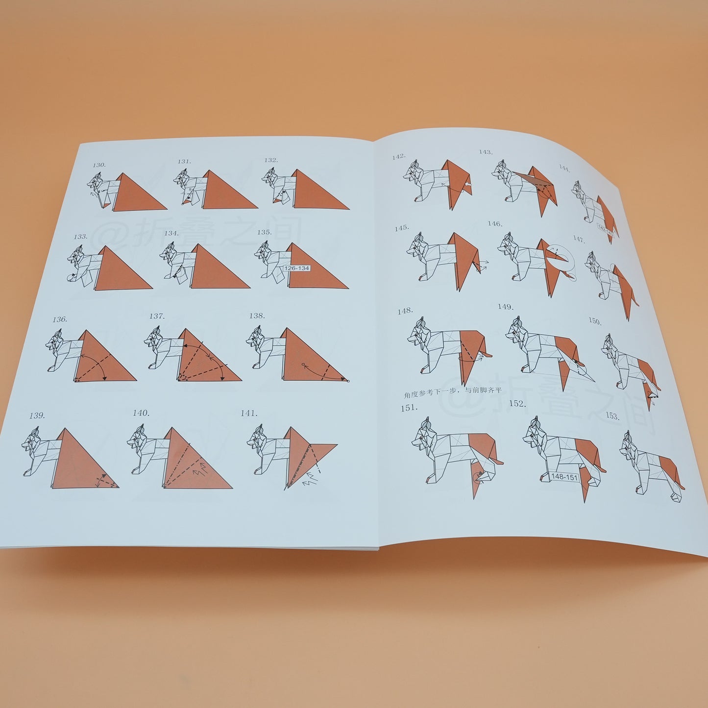 #12 Lynx origami package(paper+diagrams)