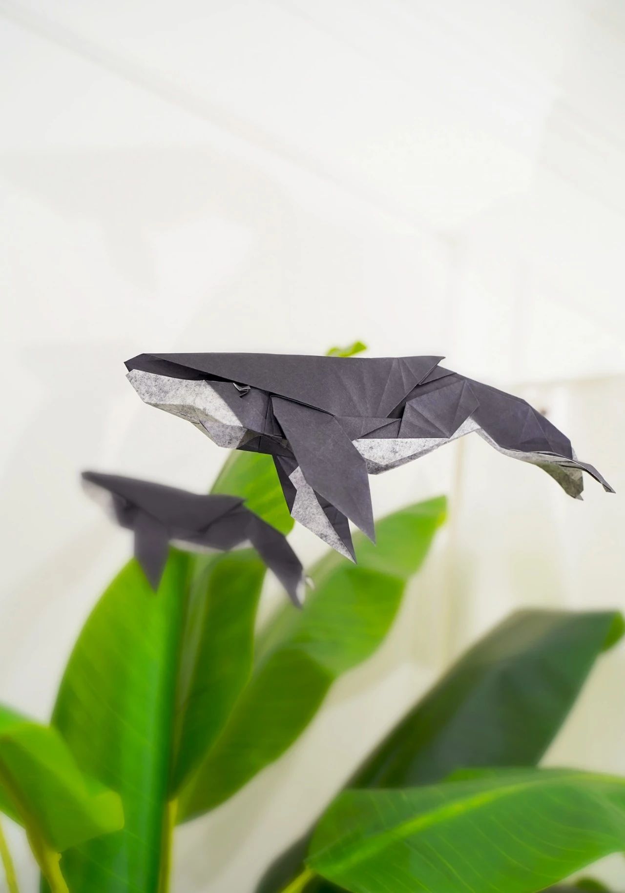 origami skill up