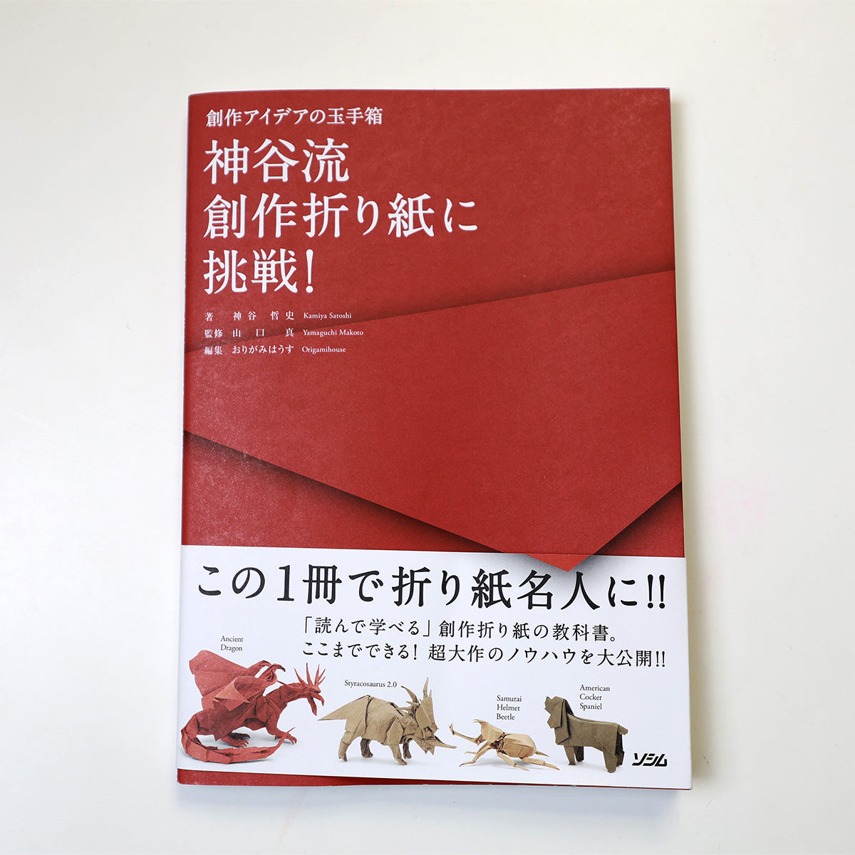 神谷流創作折り紙に挑戦!―創作アイデアの玉手箱