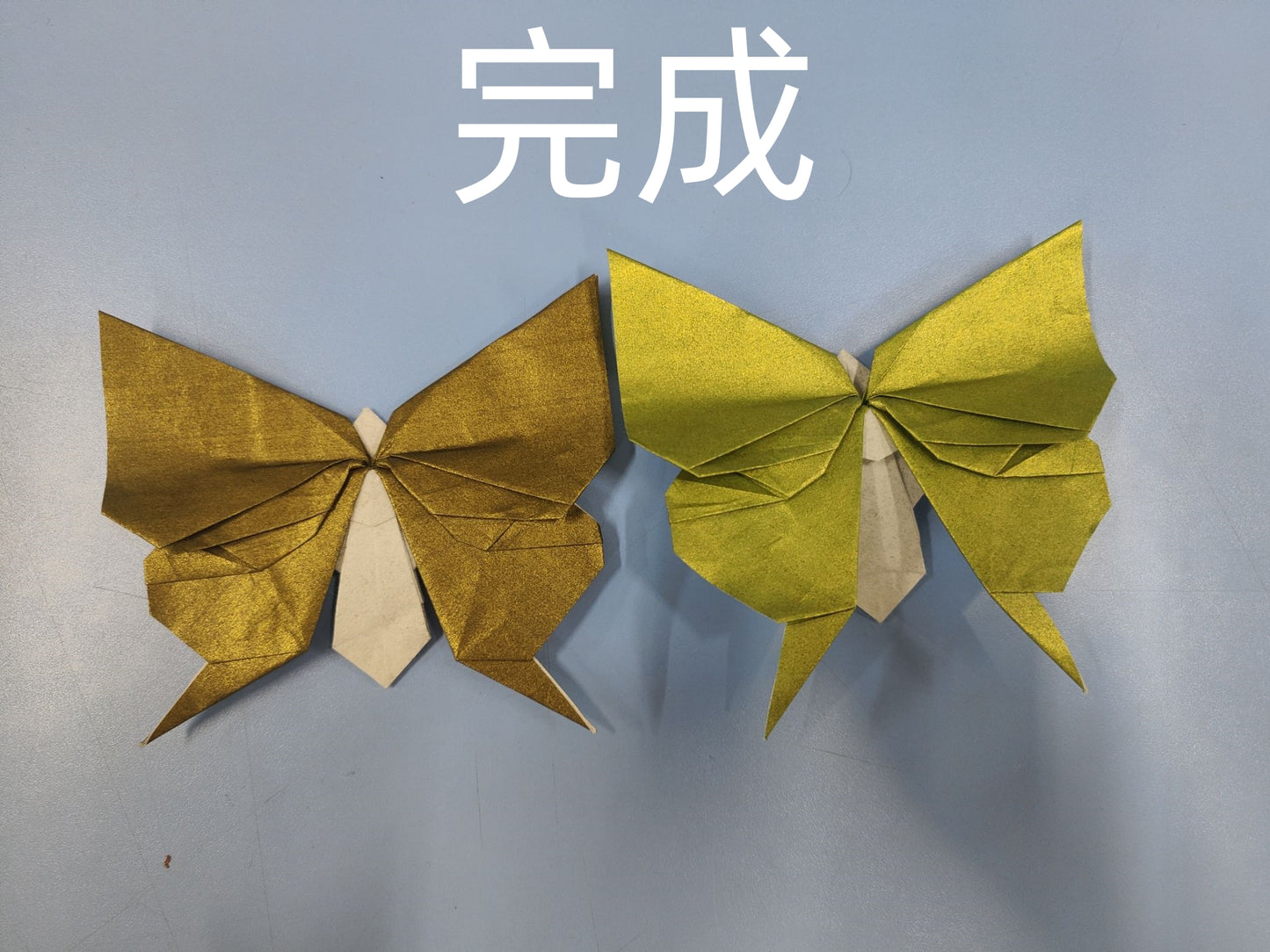 #4 butterfly by mengpo