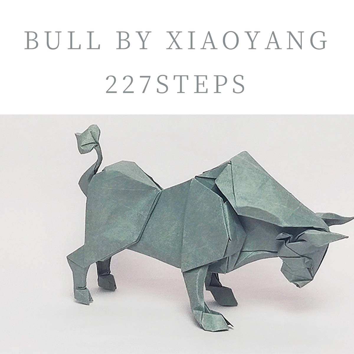 bull by Xiaoyang photodiagrams 227steps