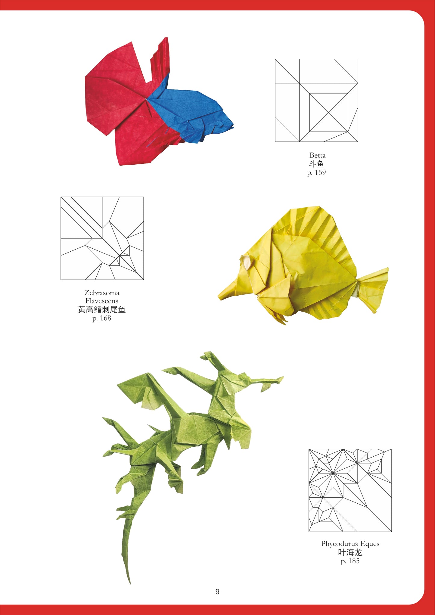 Origami From China 「hardcover book」