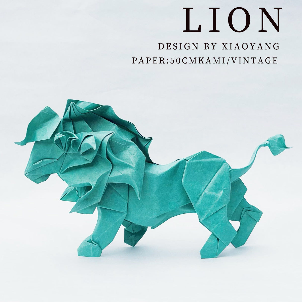 lion photodiagrams by Xiaoyang
