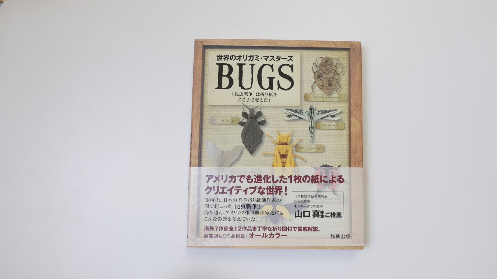 Origami Masters: Bugs :: Behance