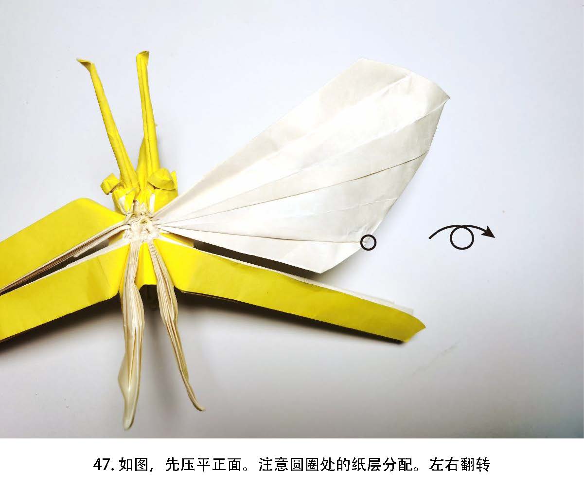 Butterfly by Tony Wang , Photodiagrams step by step. 140+steps