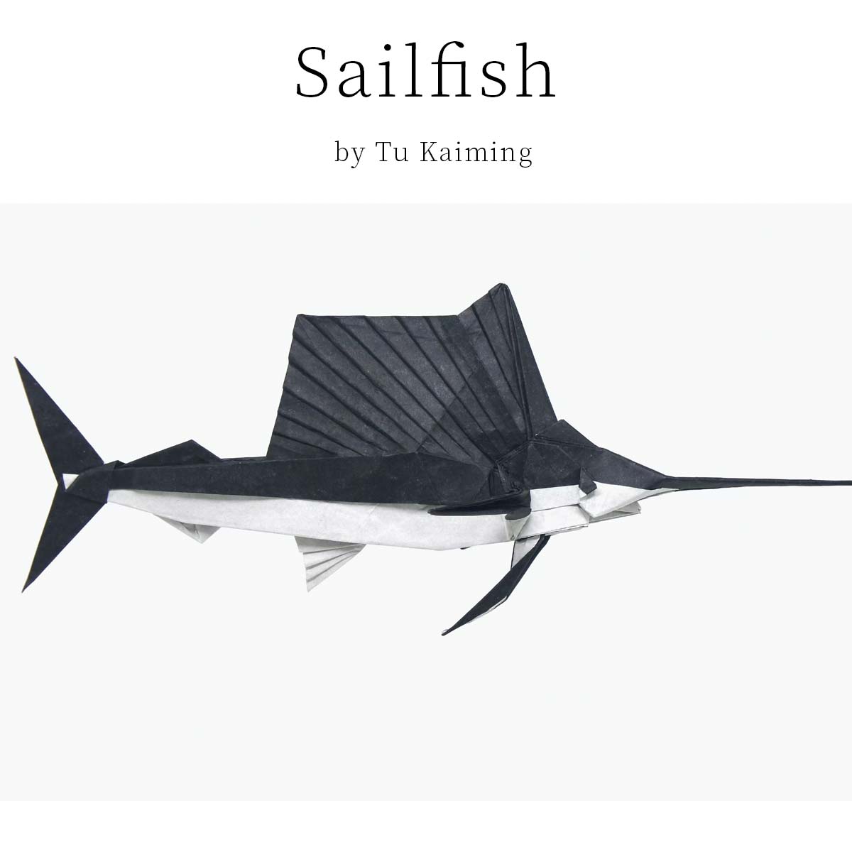 Sailfish pdf file photodiagrams step by step