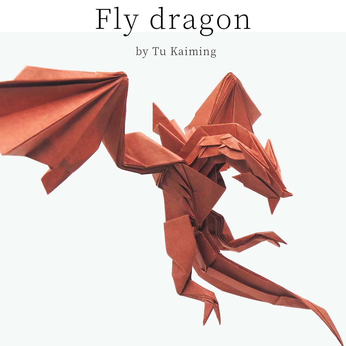 Flying Dragon  pdf file photodiagrams step  by step