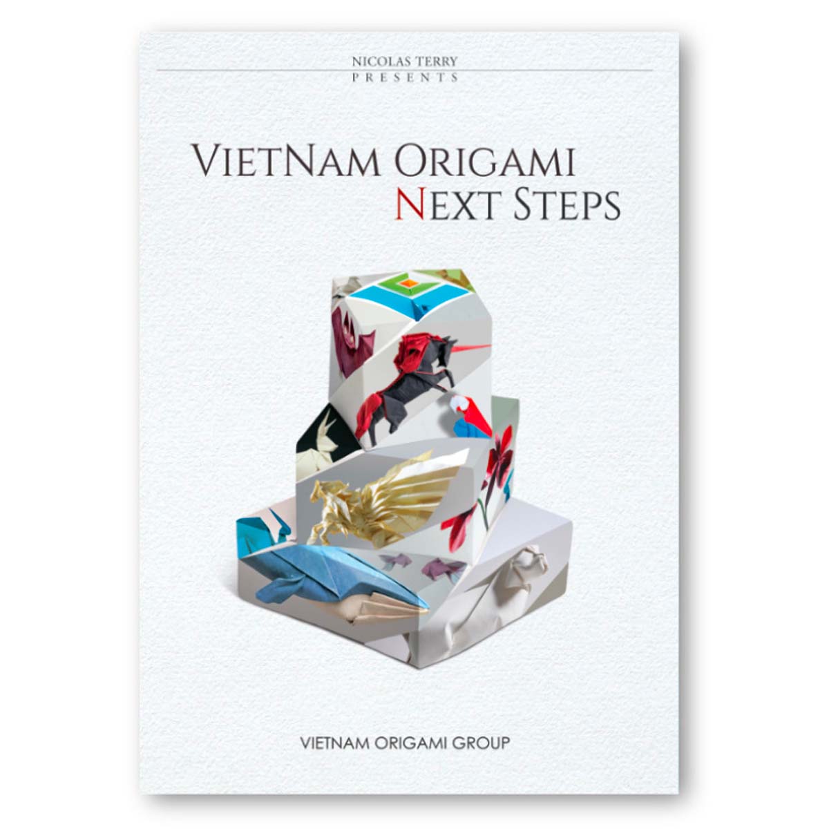 VOG3-VOL 12 VIETNAM ORIGAMI GROUP #3 - NEXT STEPS
