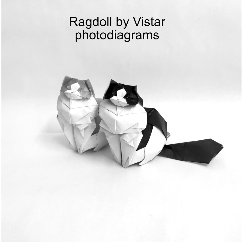 Ragdoll photodiagrams by Vistar
