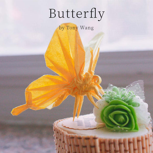 Butterfly by Tony Wang , Photodiagrams step by step. 140+steps